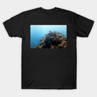 Coral T-Shirt